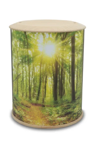 Eine rundum bedruckte Fotourne mit Wald und Sonnenstrahlen