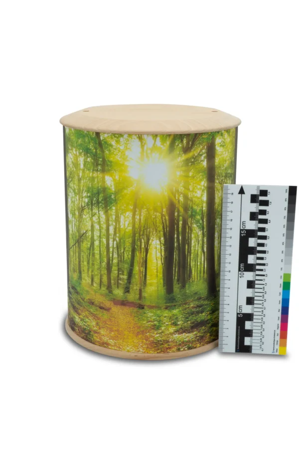 Eine rundum bedruckte Fotourne mit Waldweg und Sonnenstrahlen und Lineal und Farbskala