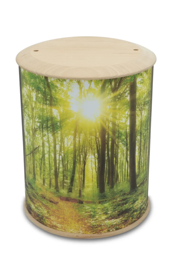 Eine rundum bedruckte Fotourne mit Wald und Sonnenstrahlen