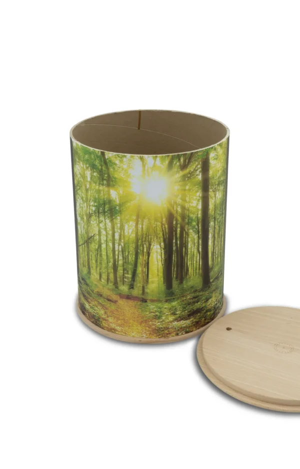 Eine rundum bedruckte Fotourne mit Wald und Sonnenstrahlen und geöffnetem Holzdeckel